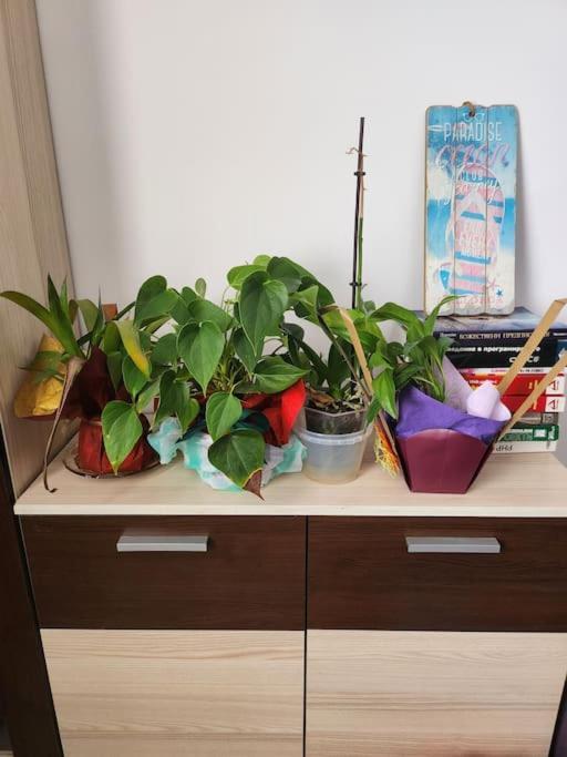 Modern Apartment. Best Location София Екстериор снимка